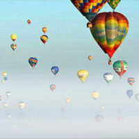 Website Design / SEO