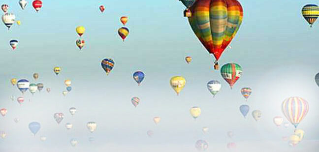 Website Design / SEO
